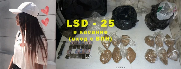 крисы Козельск