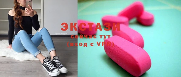крисы Козельск