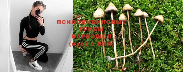 apvp Кинешма