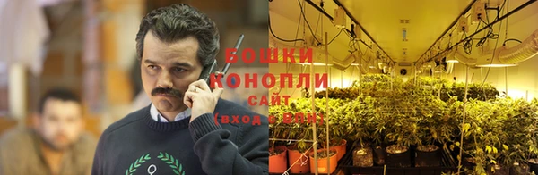 трава Козловка